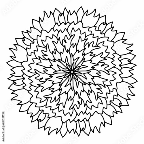 Floral, hand drawn aster mandala flowers in doodle style isolated on white background. Funny and cute coloring for seasonal design, textile, decoration kids playroom or greeting card. Chrysanthemum.