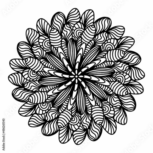 Floral, hand drawn aster mandala flowers in doodle style isolated on white background. Funny and cute coloring for seasonal design, textile, decoration kids playroom or greeting card. Chrysanthemum.