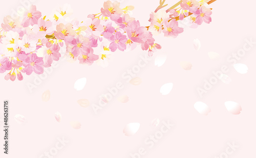 桜の舞う 背景イラスト素材