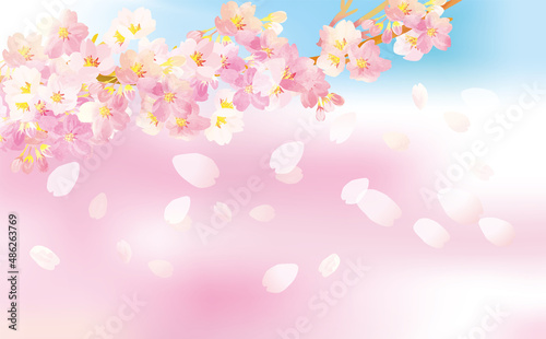 桜の舞う 背景イラスト素材 © ヨーグル