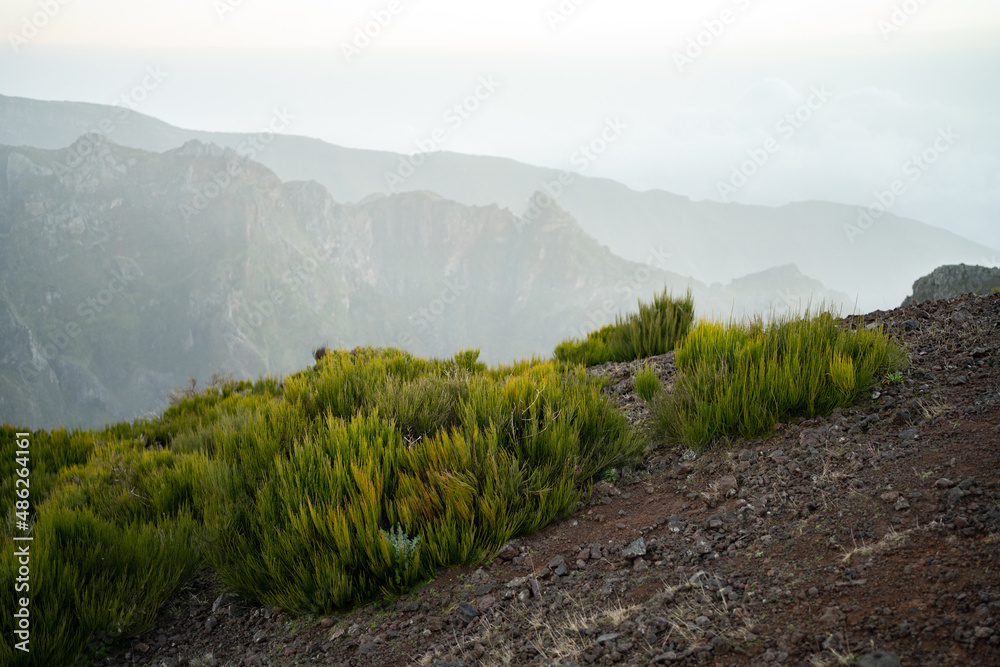 Fototapeta premium Madeira mountain landscape