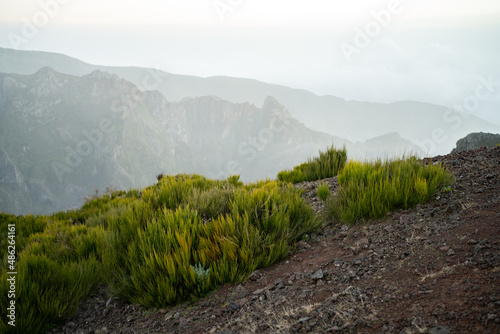 Madeira mountain landscape
