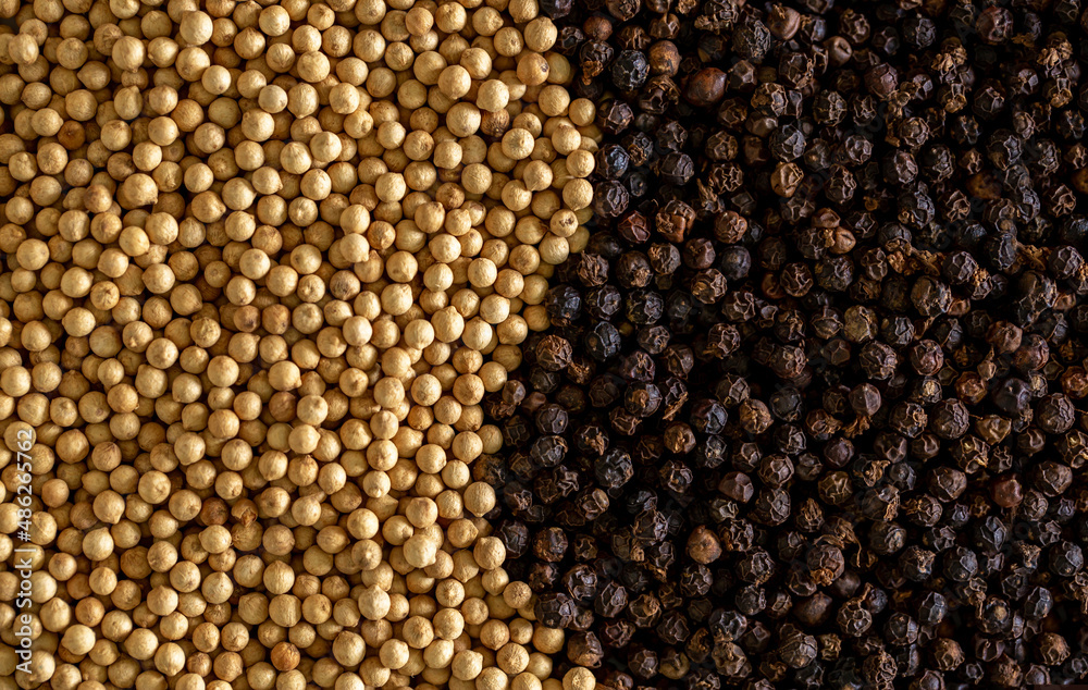 White pepper and black pepper close-up as a background. Spices of Cambodia. Seasoning for dishes. Additive ingredient for the preparation of delicious delicacies. Sauce set White pepper and black pepper close-up as a background. Spices of Cambodia. Seasoning for dishes. Additive ingredient for the preparation of delicious delicacies. Sauce set
