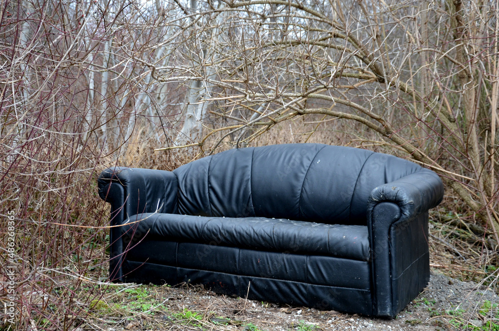 discarded waste in the forest. The furniture lies in the bushes. The