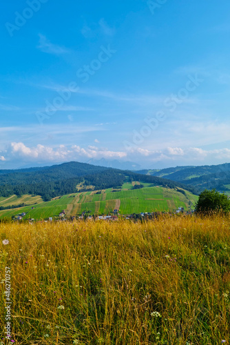 Vertical photo. A picturesque mountain landscape in the countryside.