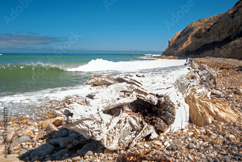 Driftwood log on rocky beach at Yellowbanks bay on Santa Cruz Island in the Channel Islands National Park California United States photo