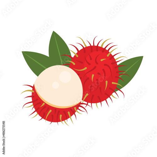 Rambutan whole fruit and peeled isolated on white background. Juicy rambutan cartoon icon for package design. Vector illustration of tropical fruits in flat style.
