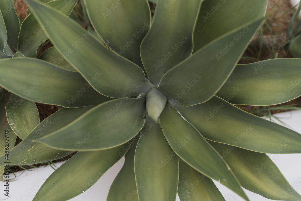 Obraz premium salina isole eolie