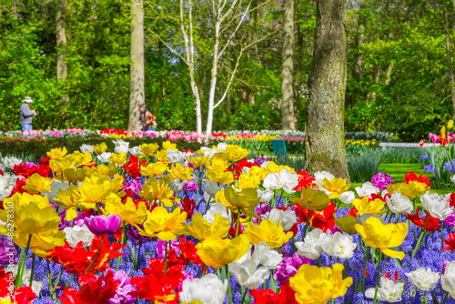 Fotografía Keukenhof park, Netherlands