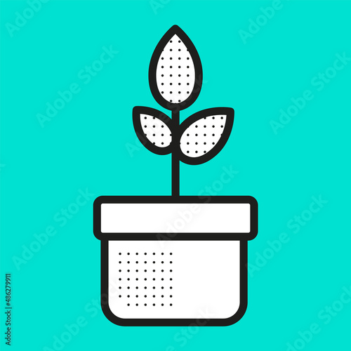 Plant in pot with leaves