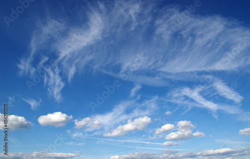 The sky and white clouds.