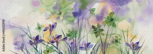 Violet and green spring flowers watercolor background
