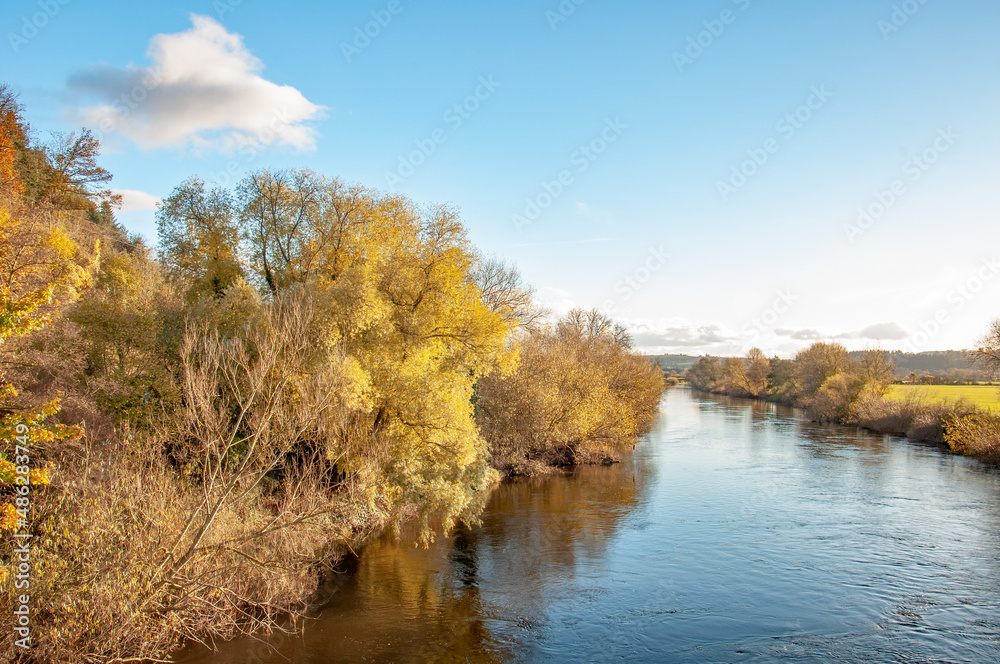 Fototapeta premium autumn in the park