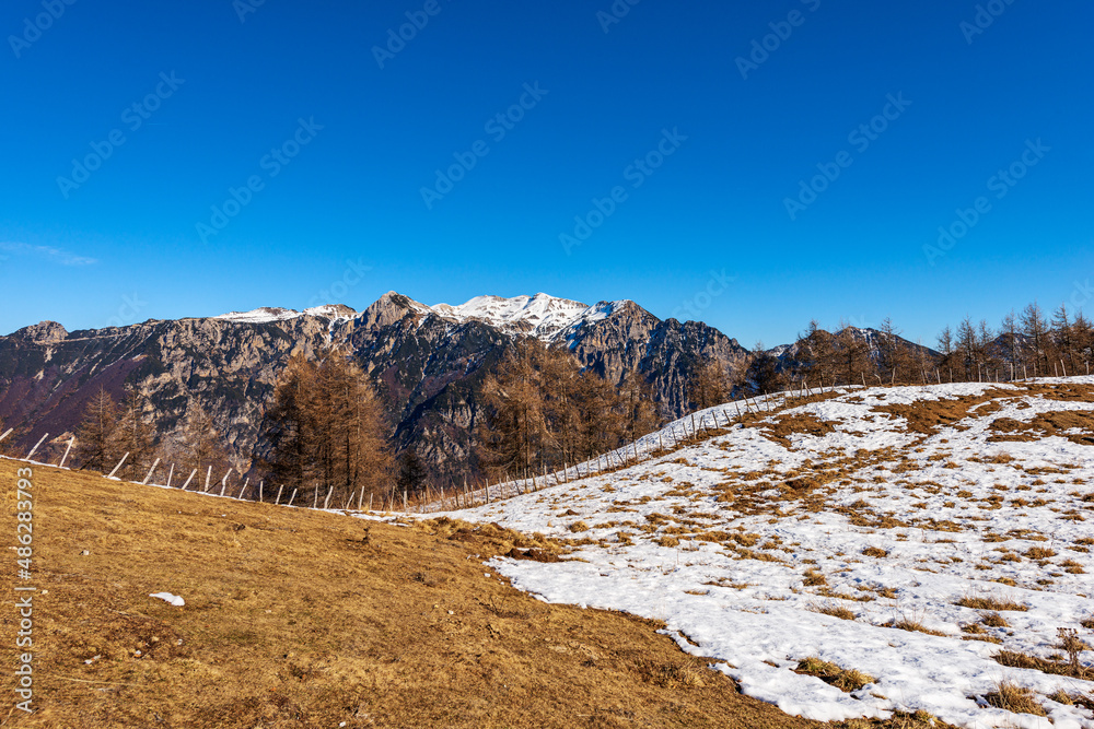 Lessinia Plateau Regional Natural Park (Altopiano della Lessinia) and the mountain peak of Monte Carega (small Dolomites). Bosco Chiesanuova, Verona province, Veneto and Trentino, Italy, Europe.