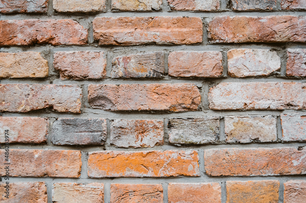Fototapeta premium Closeup texture of a red brick wall.