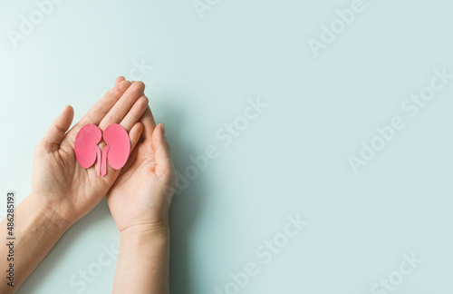 World kidney day. Woman holding kidney shaped paper on blue background. National Organ Donor Day. Kidney health concept. top view banner. photo