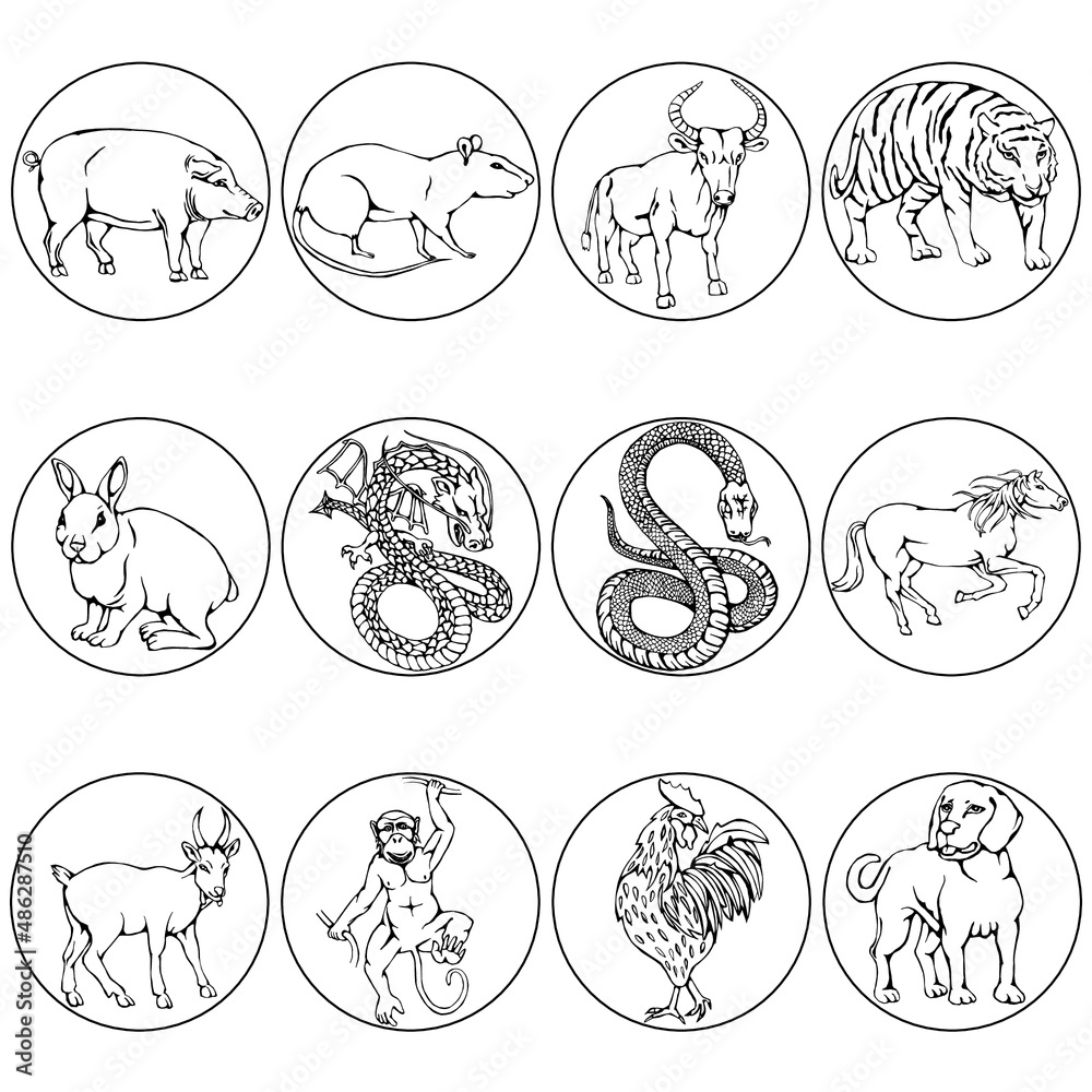 Eastern horoscope. Set of animals drawn by black lines. Vector illustration.