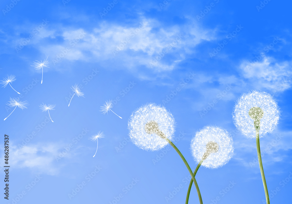 A graphic image with a white dandelion with a dreamy background in the spring and sky.