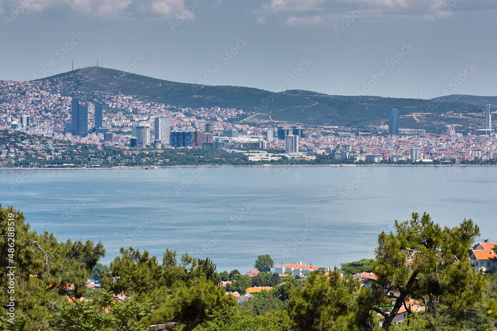 View of the pine forest, the sea and the big city. Travel to Adalar, Prince Islands, Istanbul 