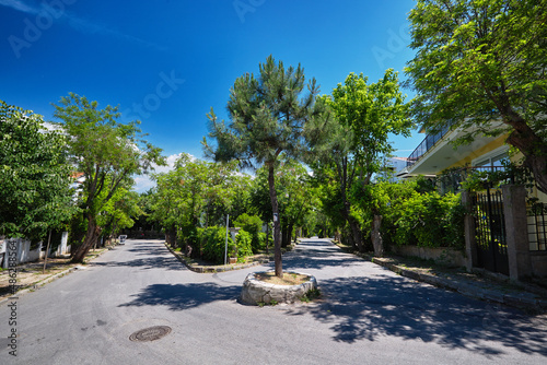 Green street. The street is full of trees and pines, the houses are immersed in greenery. Shadow from the trees. Trees save from heat. Buyukada, Adalar, Prince Islands, Istanbul, Turkey