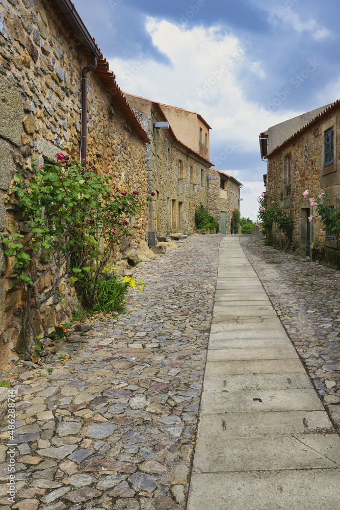 Narrow street with flowers and old stone houses, Castelo Rodrigo village, Serra da Estrela, Beira Alta, Portugal