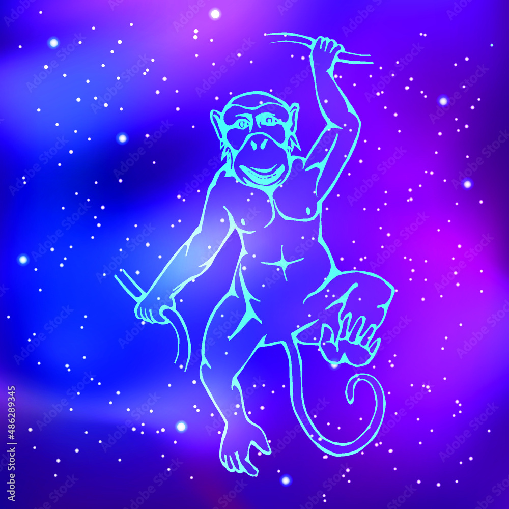 year of the monkey. The contour drawing of the animal against the background of the starry sky. Eastern, Chinese horoscope. Vector illustration