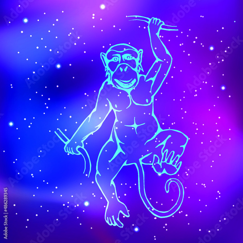 year of the monkey. The contour drawing of the animal against the background of the starry sky. Eastern, Chinese horoscope. Vector illustration © Ihor