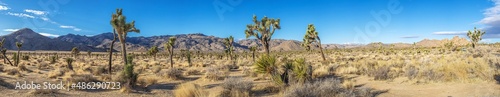 Joshua, nature, national park, california, rock, tree, park, us, beauty, countryside, blue, hill, joshua, natural, north america, stone, mojave, sky, geologic, heaven, landscape, vale, mountain, wilde