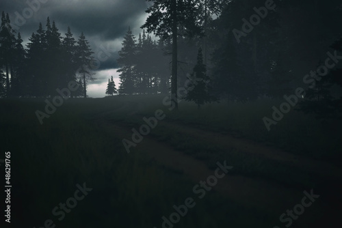 Dirt road with tire tracks in dark misty pine forest under a cloudy sky. 3D render.