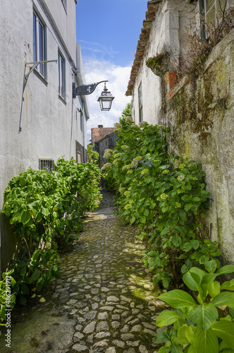 Fototapeta Naklejka Na Ścianę i Meble -  Narrow cobble street with flowers and old stone houses, Trancoso, Serra da Estrela, Portugal