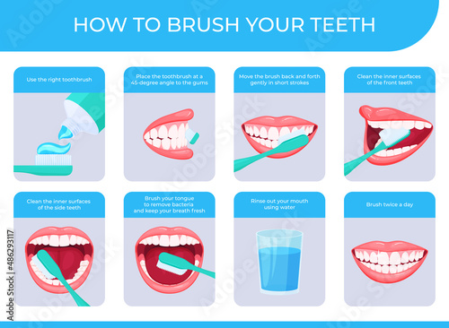 How to brush your teeth step by step instruction infographic poster vector flat illustration