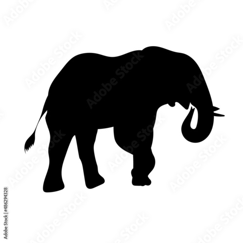 Fototapeta Naklejka Na Ścianę i Meble -  Black silhouette of an elephant on a white background. Vector.