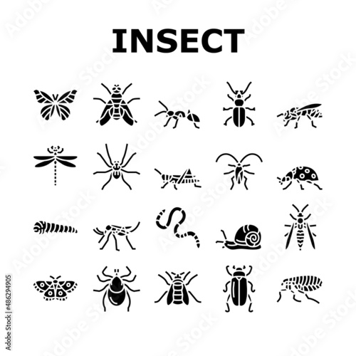 Insect, Spider And Bug Wildlife Icons Set Vector. Dragonfly And Butterfly, Ladybug And Cockroach, Grasshopper And Bumblebee, Mosquito And Caterpillar Insect Glyph Pictograms Black Illustrations