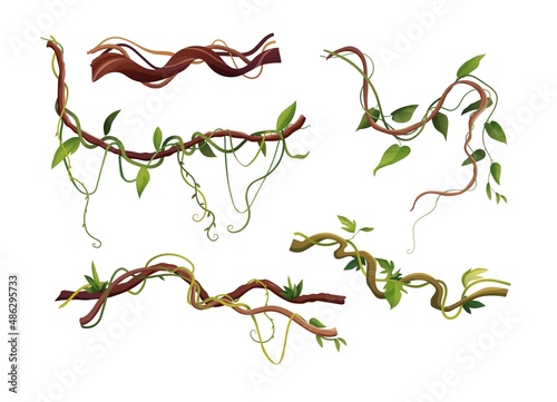 Liana or vine winding branches cartoon vector illustration Fototapet