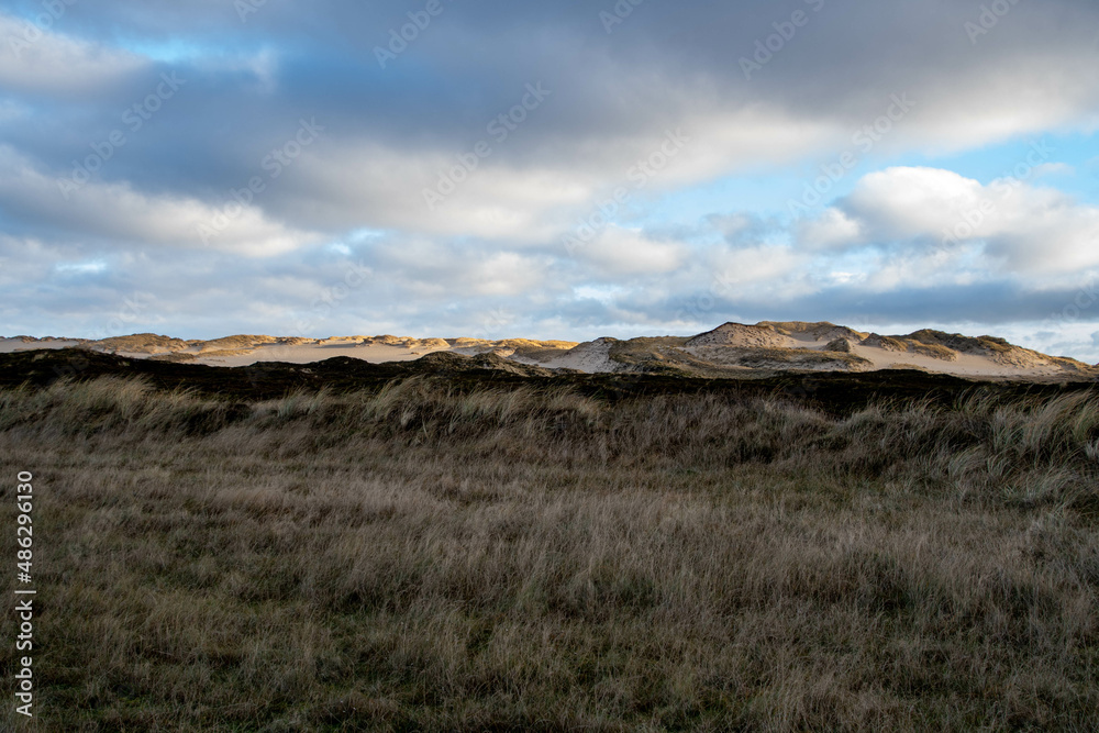 Wanderdüne in der Nähe von List Insel Sylt Wanderdüne in der Nähe von List Insel Sylt
