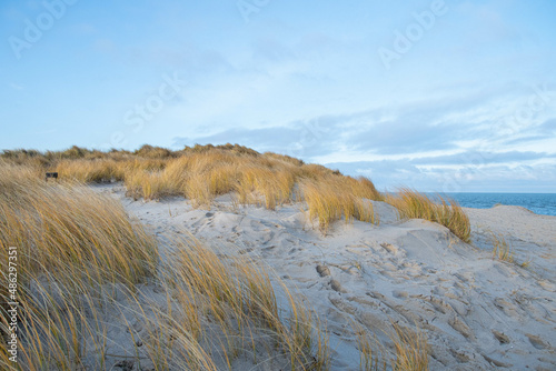 Strand und D  nenlandschaft an der Spitze des Lister Ellenbogens Insel Sylt