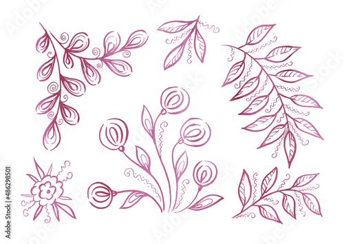 Set Flower and Leave. Provence illustration. Dandelion Flower and palm Leave