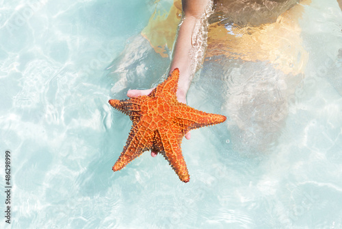 Red starfish in Caribbean sea