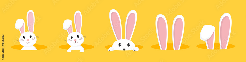 Easter rabbit, easter Bunny. Vector illustration.