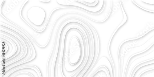 Abstract design with black and white abstract background . Abstract papercut and multi layer cutout geometric pattern on vector, Abstract soft white background with waves, textured Papercut .