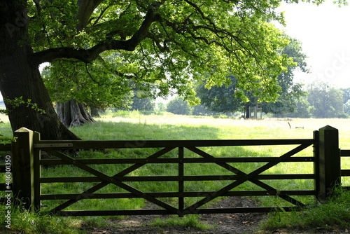estate countryside green fields english england lzndscape