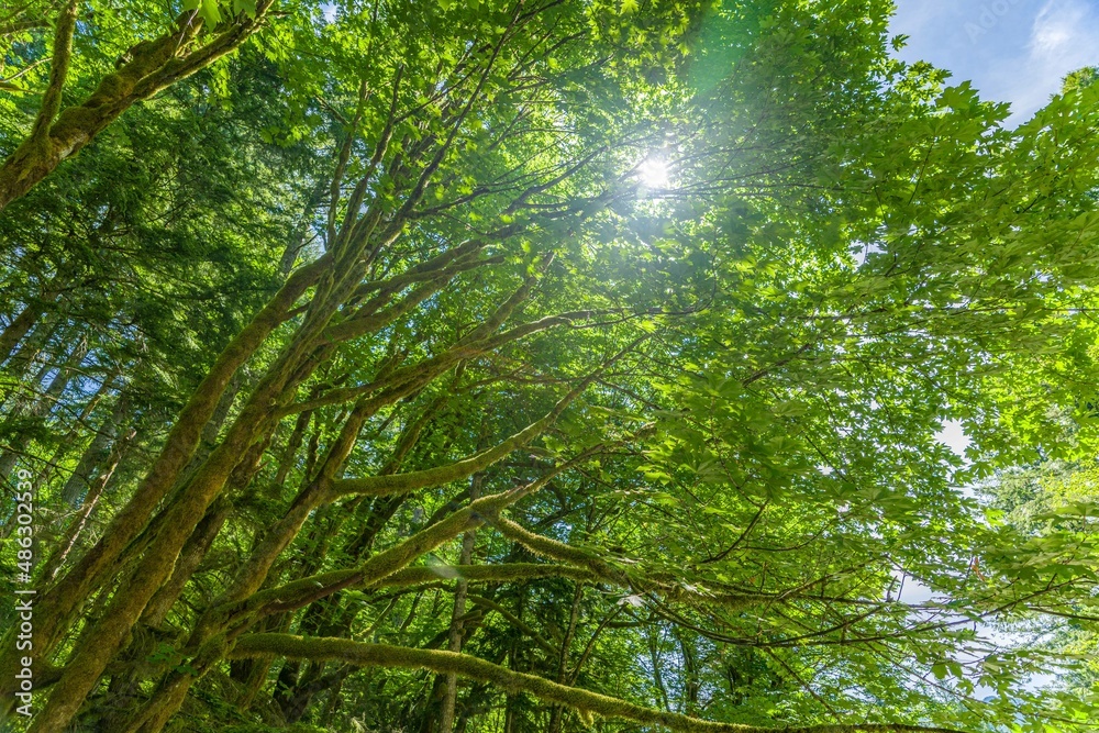 Obraz premium creative