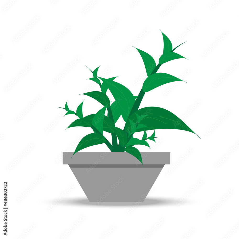 Tree Potted, pots with plants Tree Potted, pots with plants