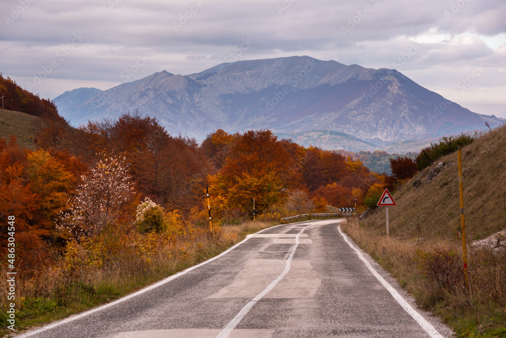 Road in autumn season lanscape with colorful trees and plants