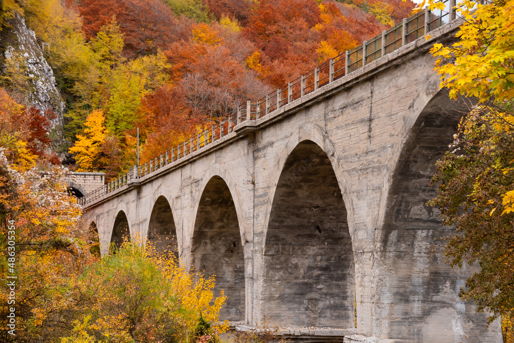 Autumn season lanscape with bridge among colorful trees and plants