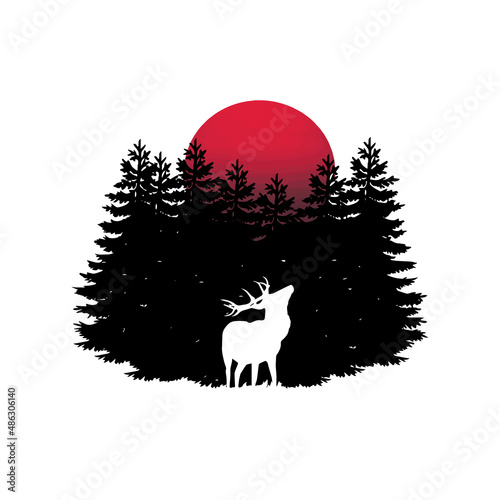 Deer in front of a coniferous forest and a beautiful sunrise, sunset.