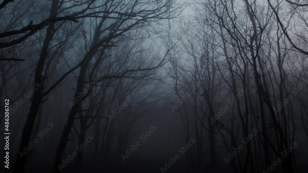 Drone view spooky dark forest winter fog and evening moonlight