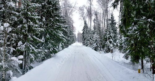 Winter road in a snowy forest