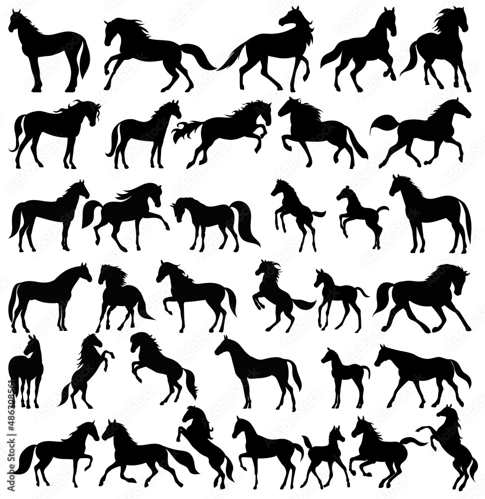 Obraz premium horses silhouette set ,on white background, vector