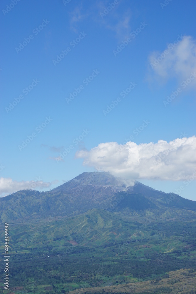 Scenic view of green valley